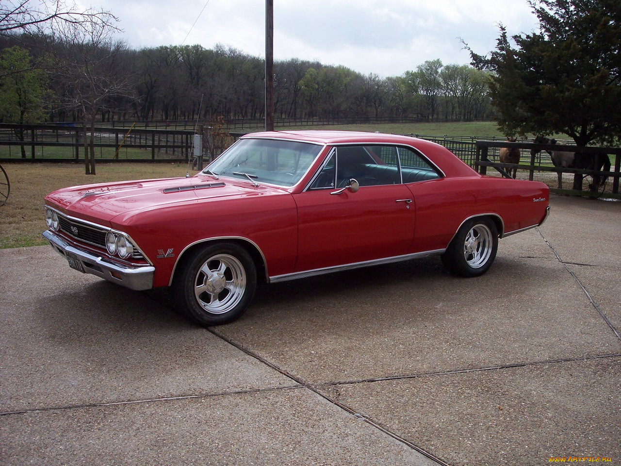 chevrolet, chevelle, , , , 